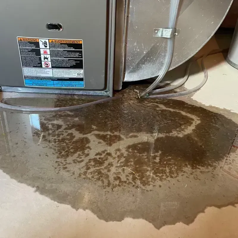 Appliance Leak Cleanup in Prospect, KY